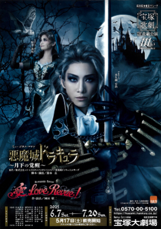 Castlevania Chirashi